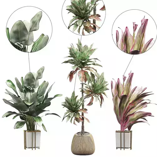Potted plants Set 32 3D model