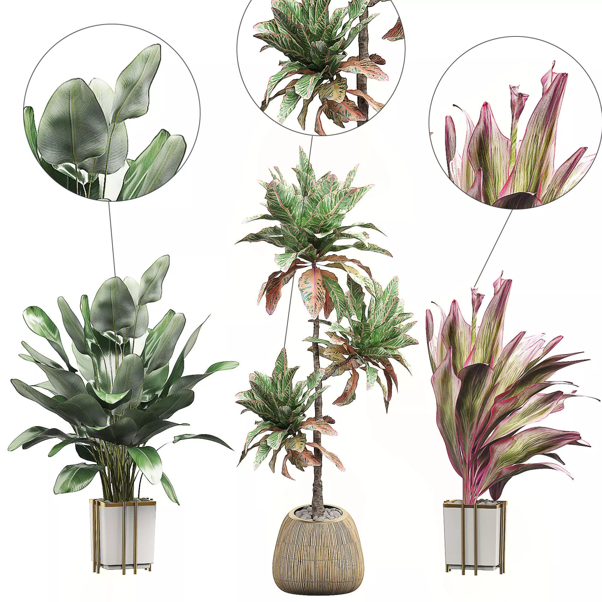 Potted plants Set 32 3D model_0