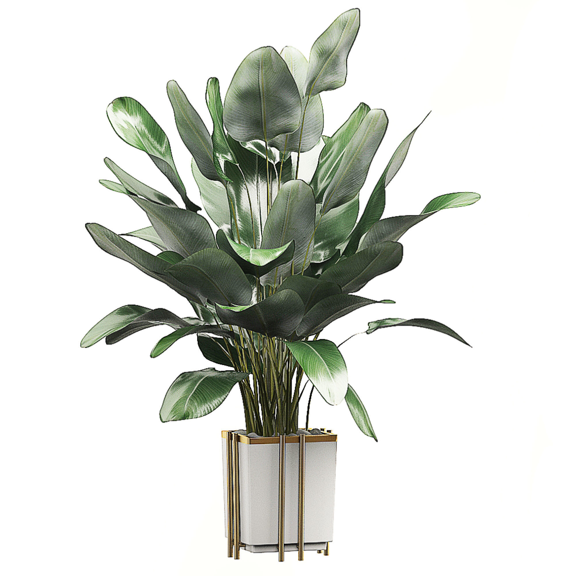 Potted plants Set 32 3D model_1