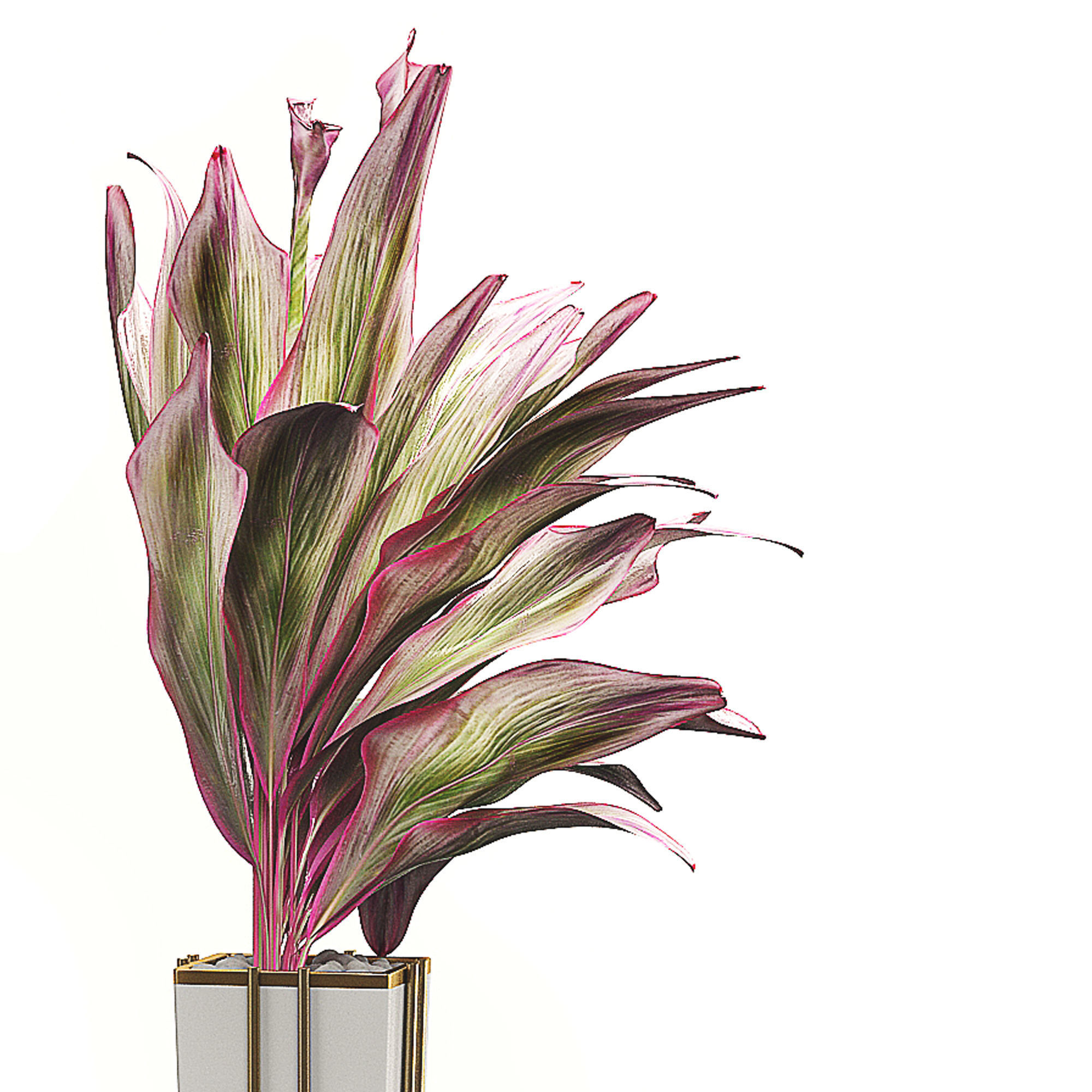 Potted plants Set 32 3D model_2