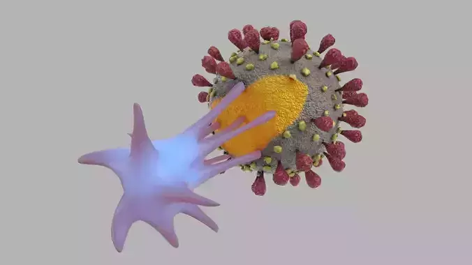 T-cell and Virus