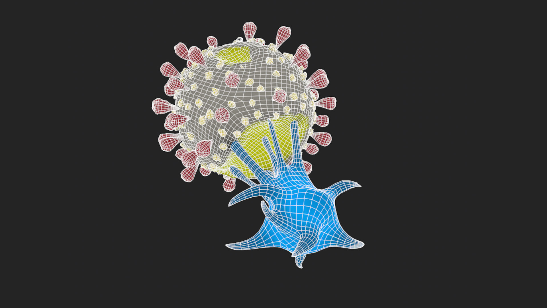 T-cell and Virus 3D model_9