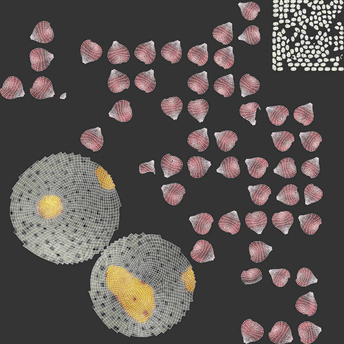 T-cell and Virus 3D model_7