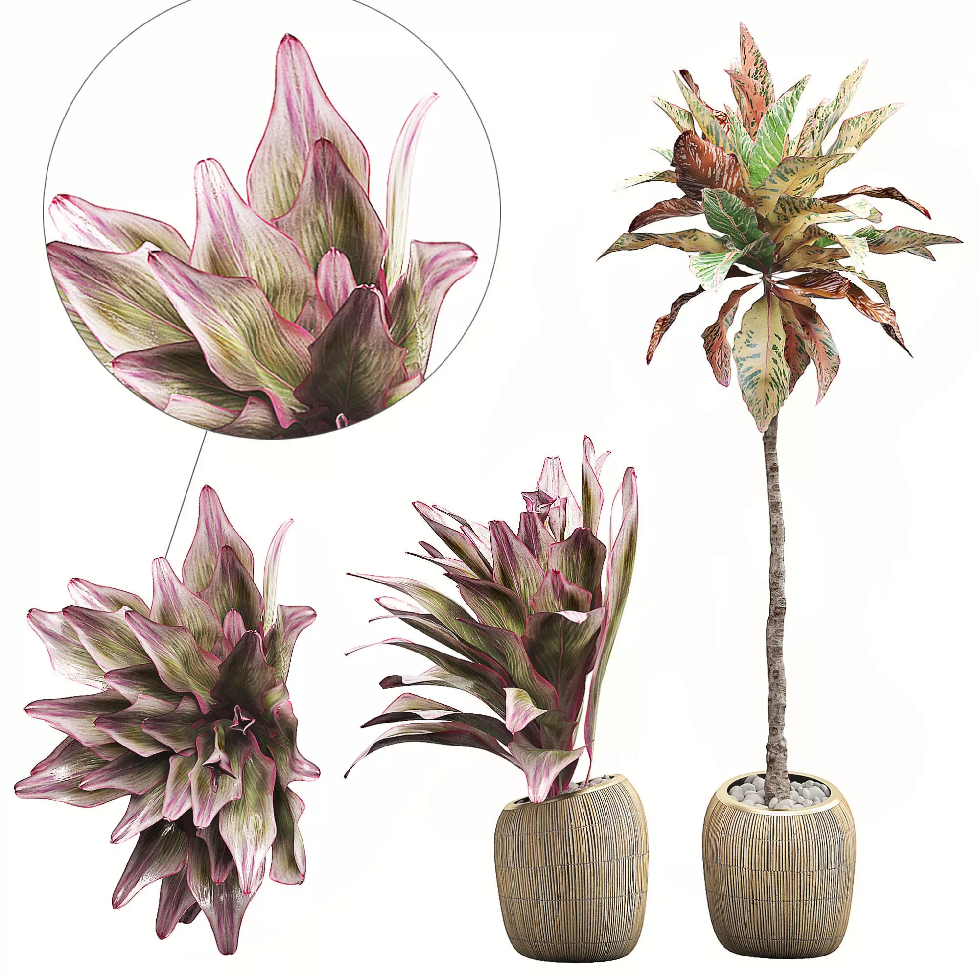 Potted plants Set 34 3D model