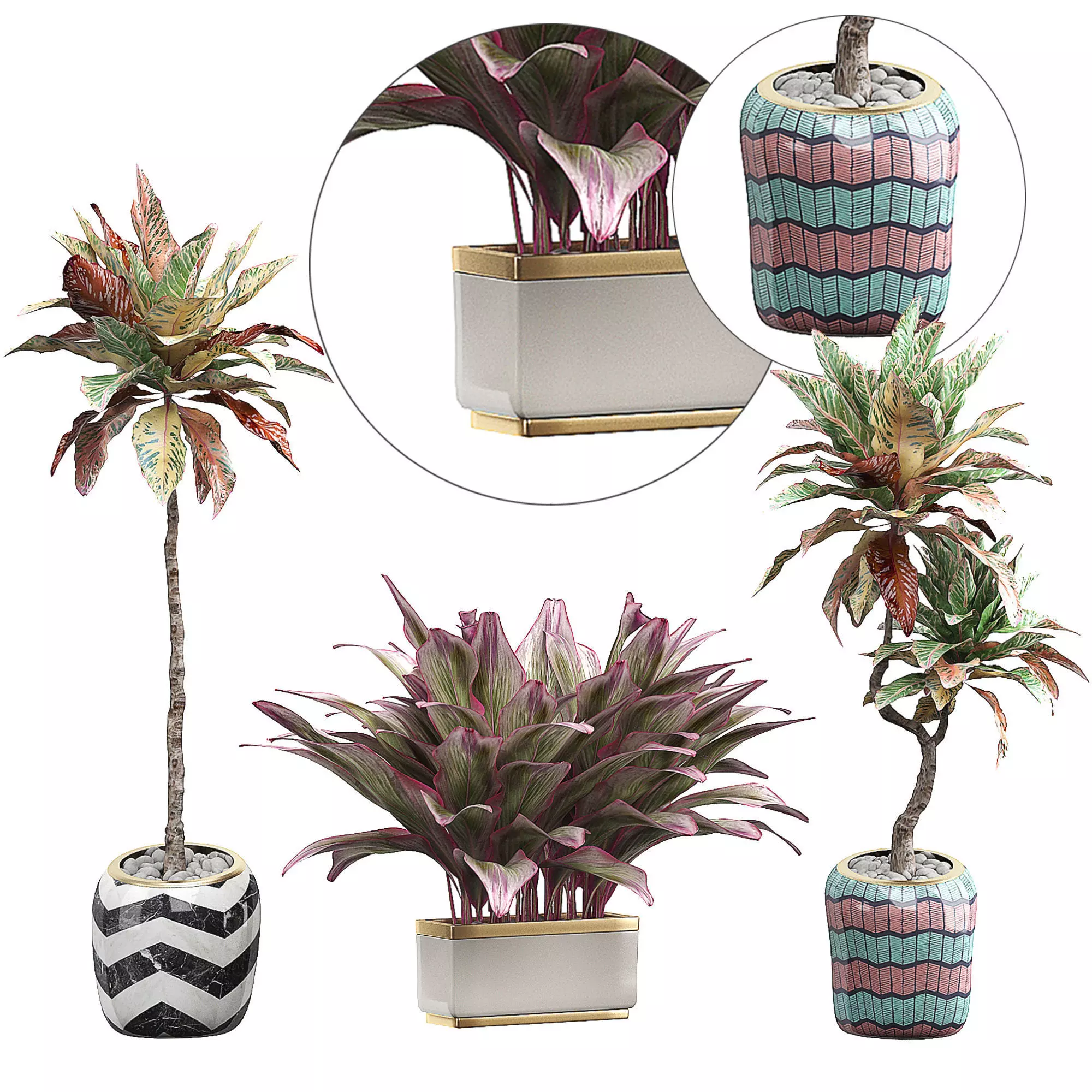Potted plants Set 35 3D model