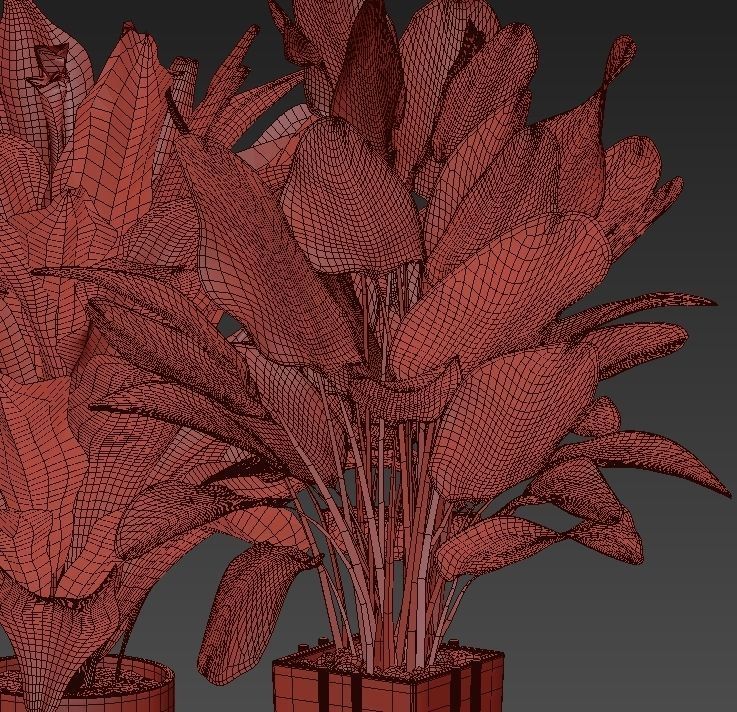 Potted plants Set 36 3D model_3