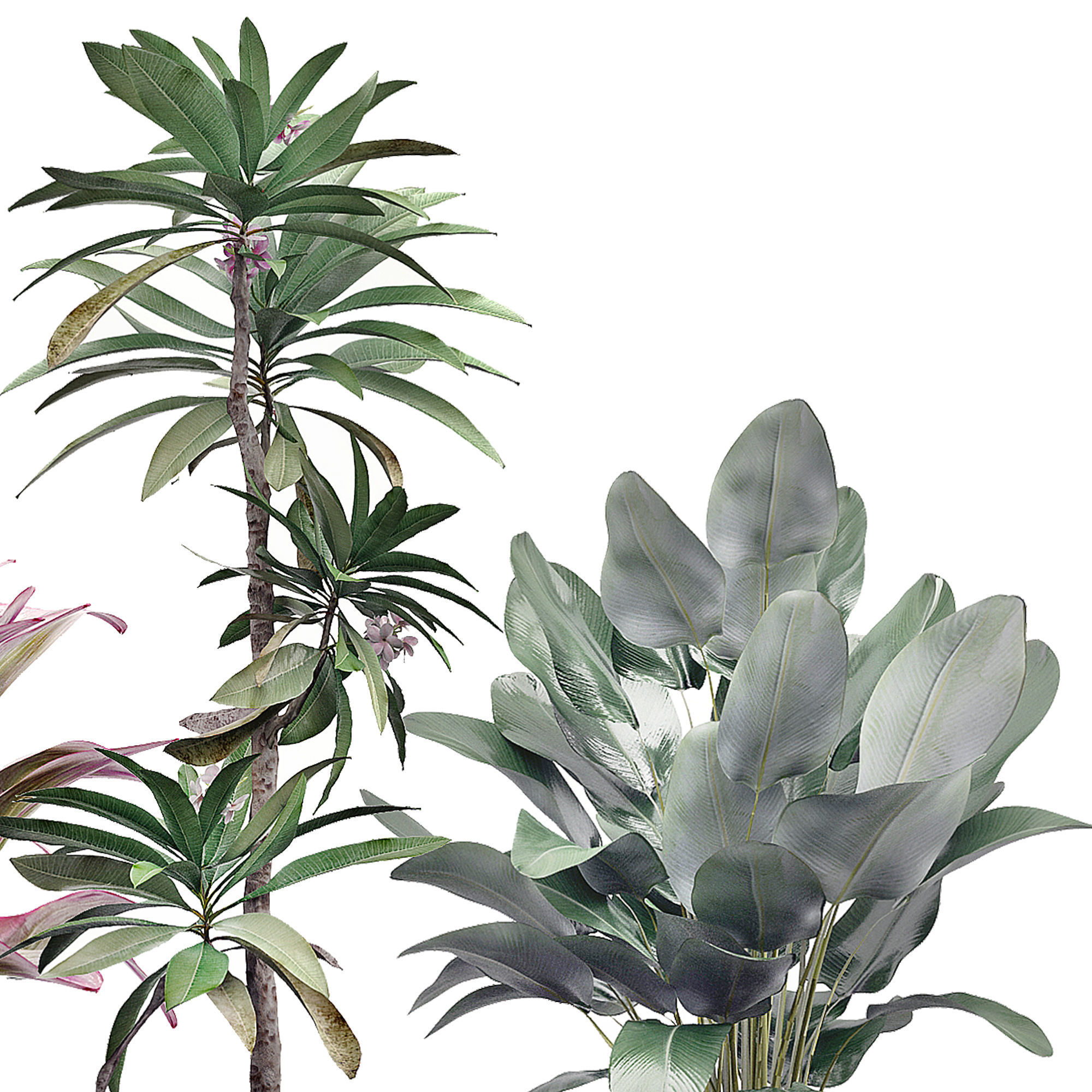 Potted plants Set 36 3D model_2