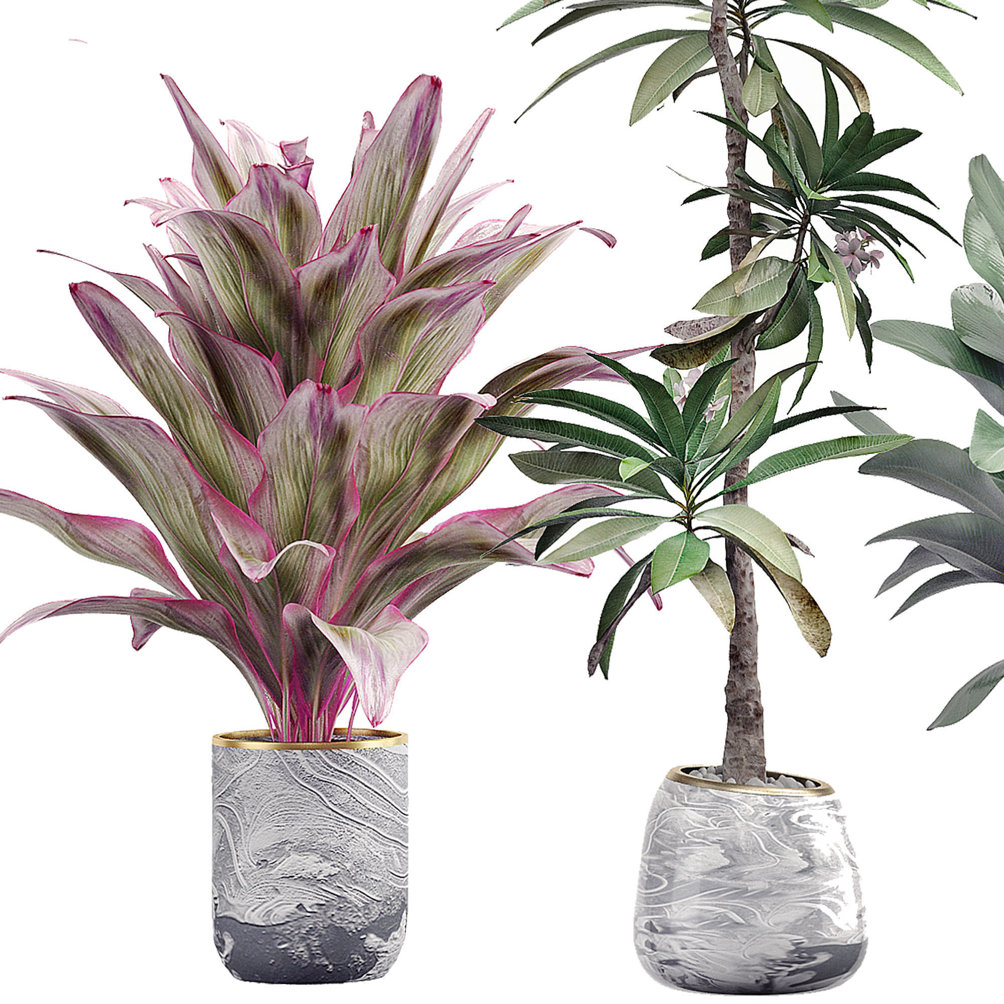 Potted plants Set 36 3D model_1
