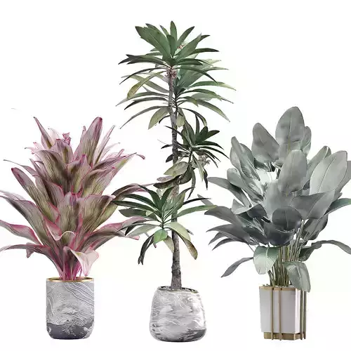 Potted plants Set 36 3D model