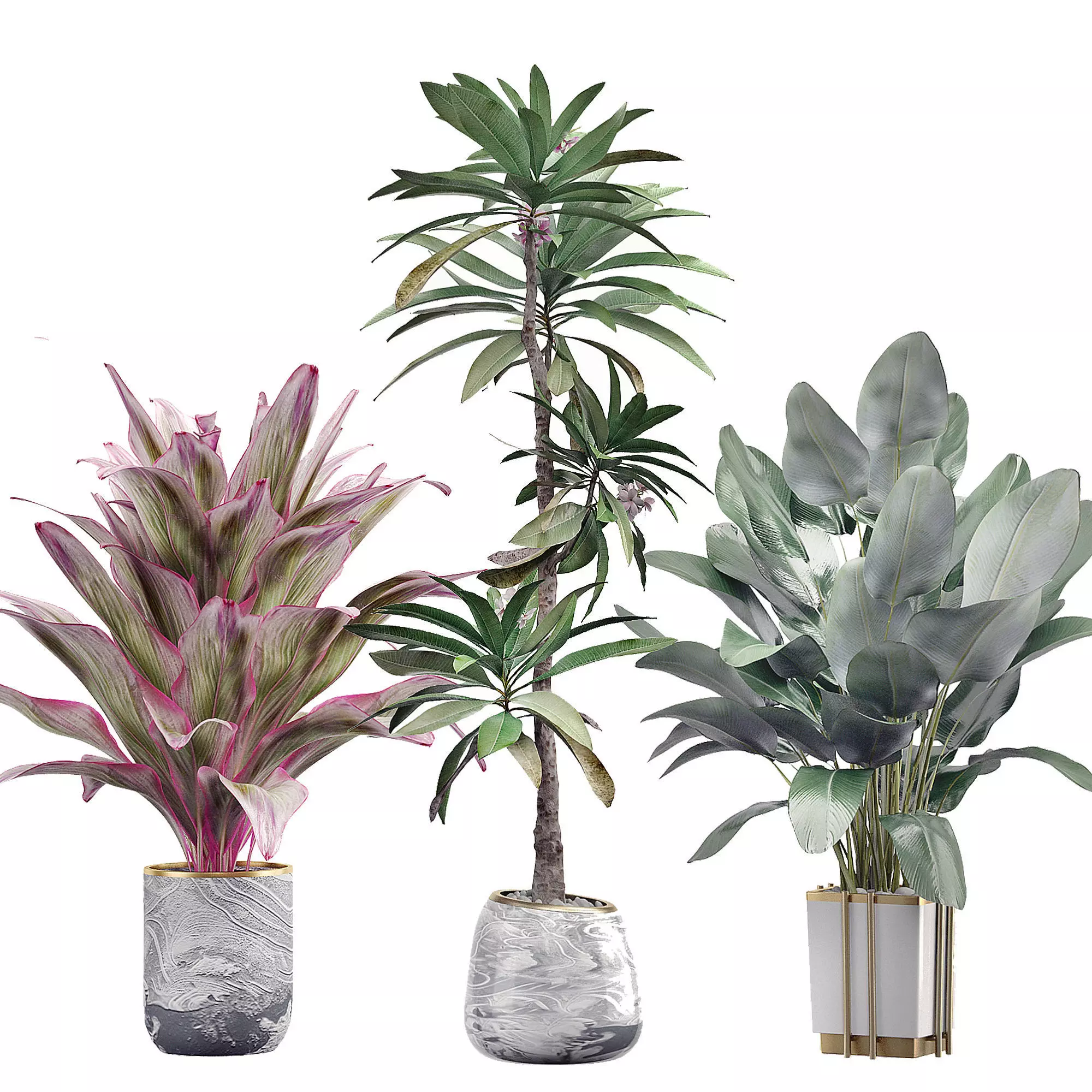 Potted plants Set 36 3D model_0
