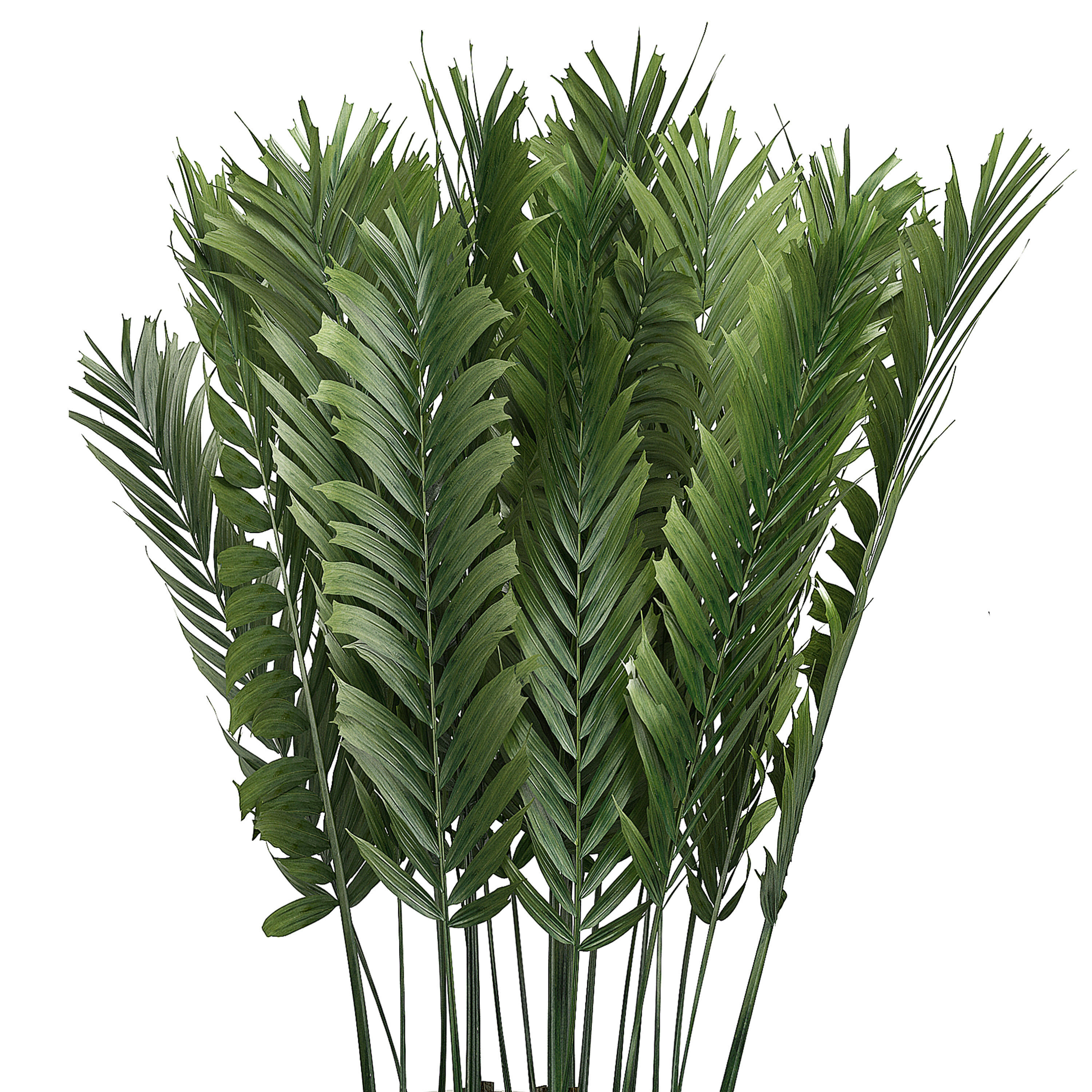 Potted plants Set 38 3D model_1