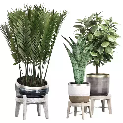 Potted plants Set 38 3D model
