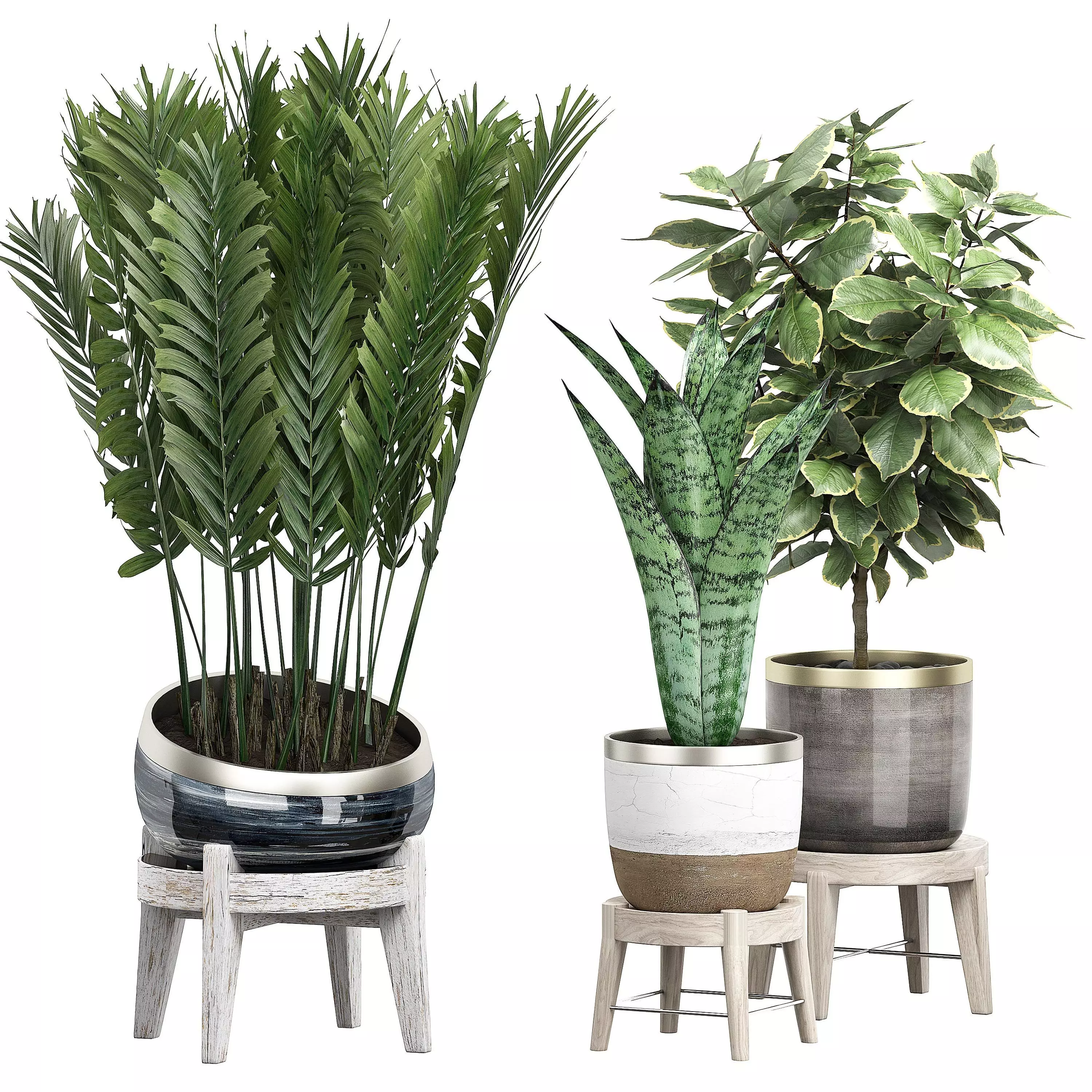 Potted plants Set 38 3D model_0