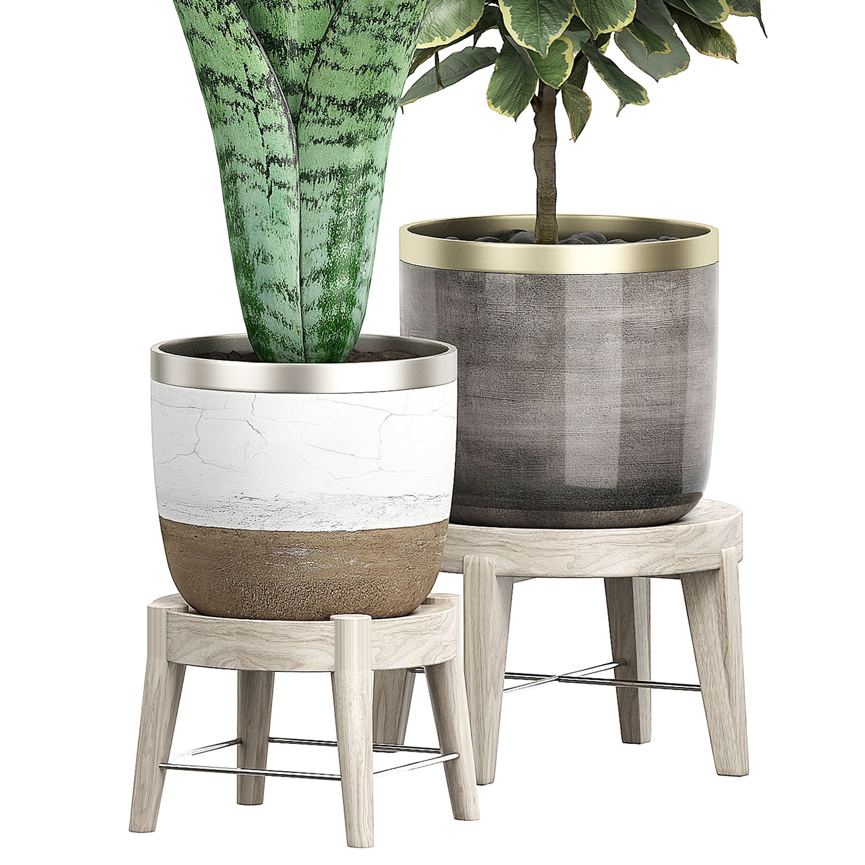 Potted plants Set 38 3D model_2