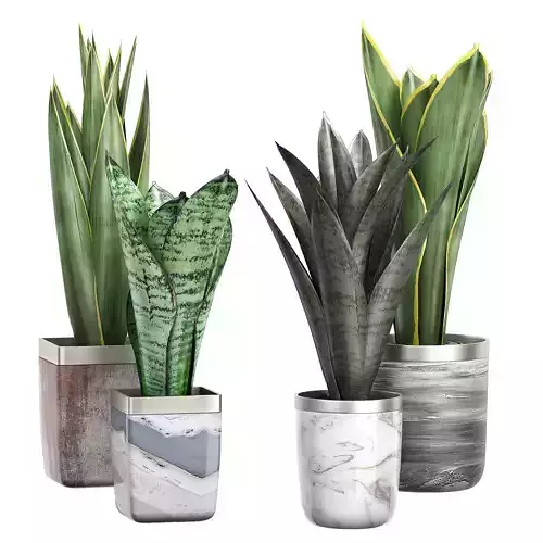 Potted plants Set 39