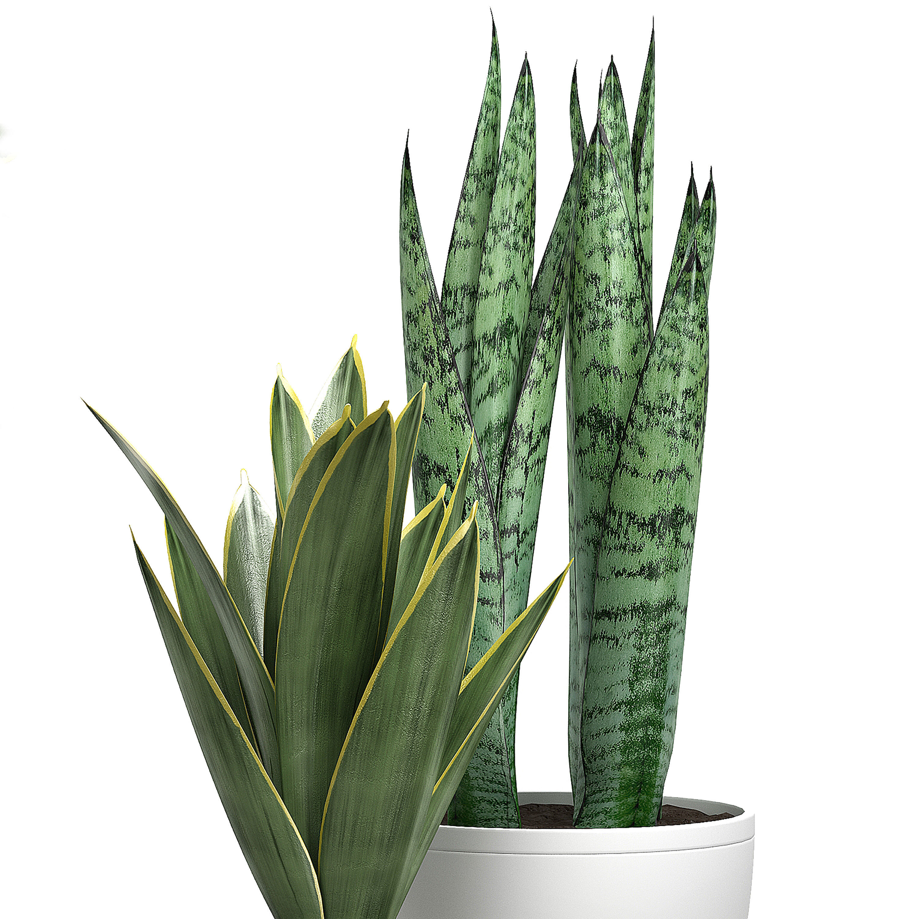 Potted plants Set 40 3D model_4