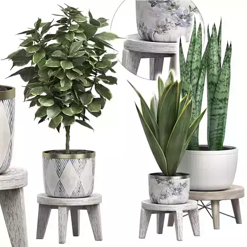 Potted plants Set 40 3D model