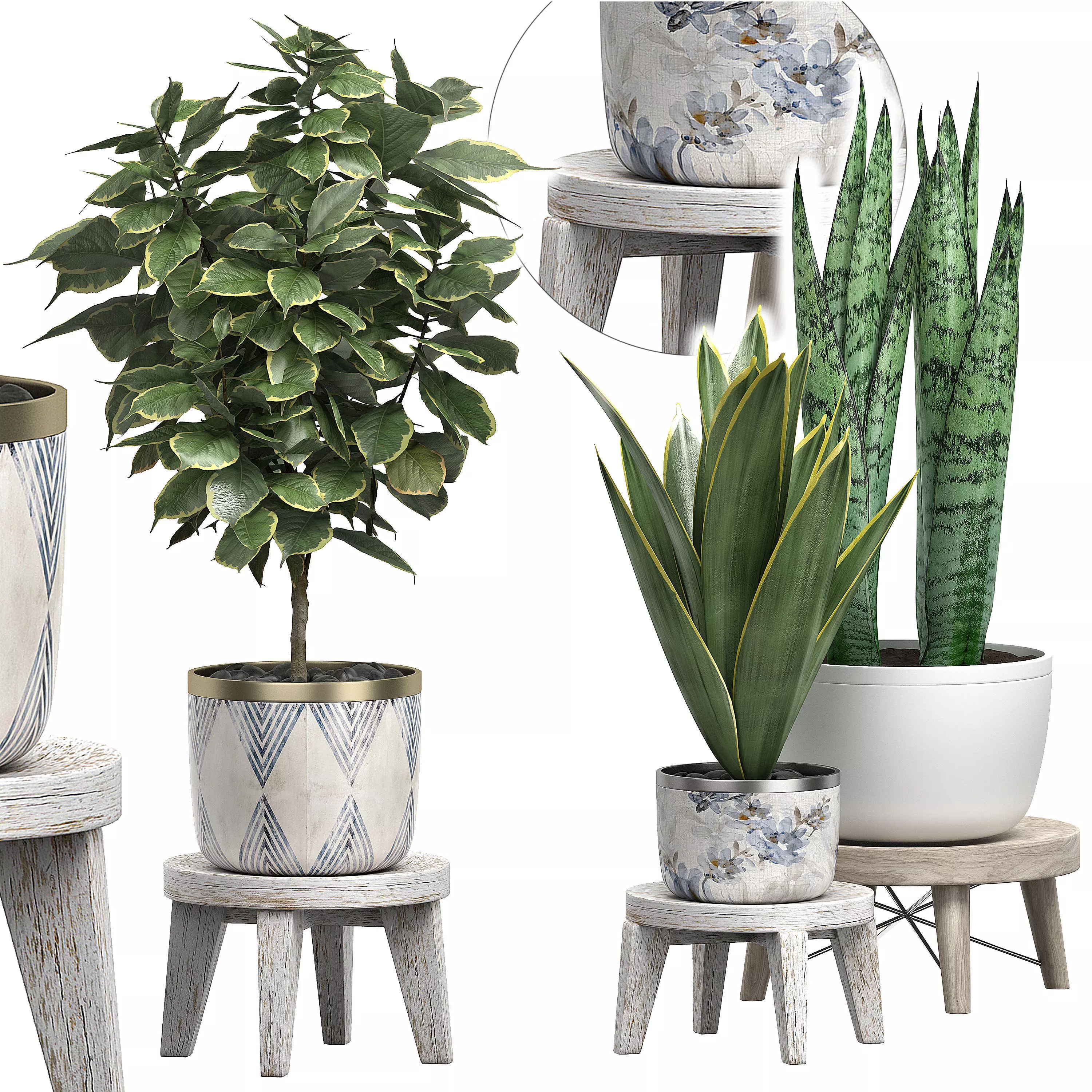 Potted plants Set 40 3D model_0
