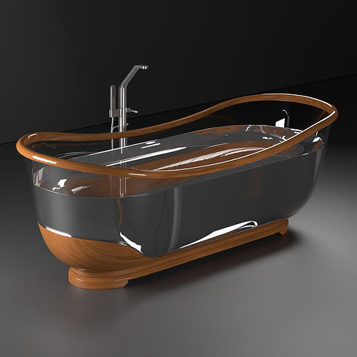 Glass and wood bathroom 3D model