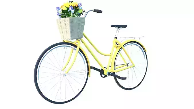 vintage design bicycle