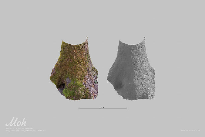 Moh RAW scan 3D model