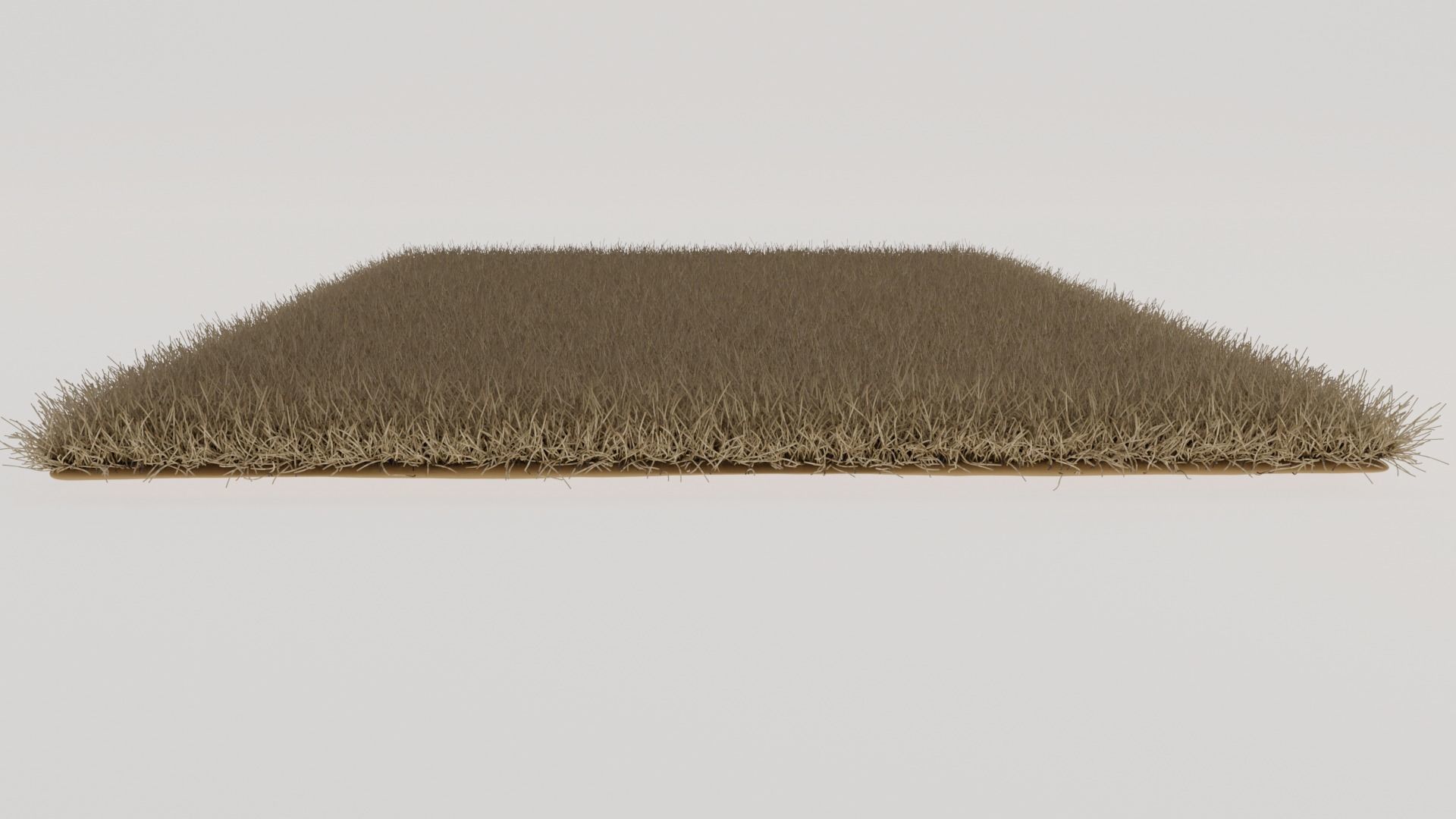 Brown Shag Rug 3D model_6