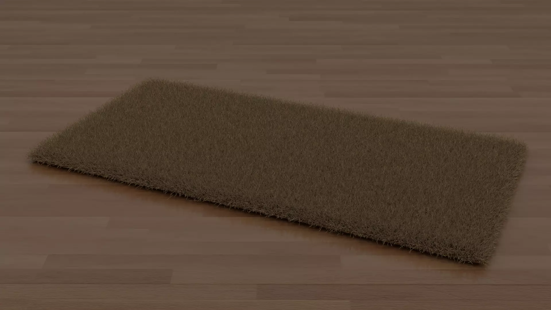Brown Shag Rug 3D model_0