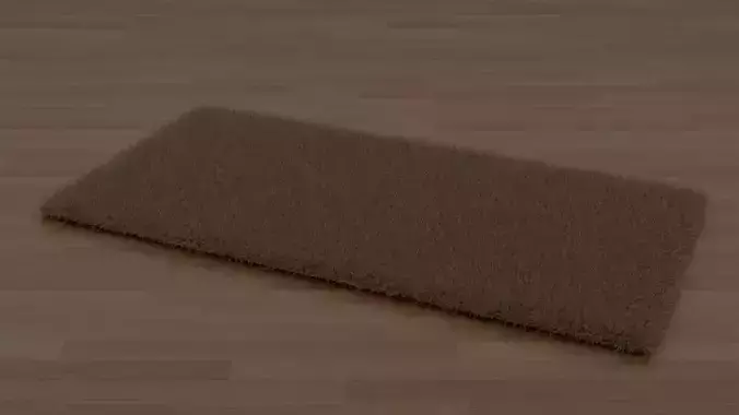 Brown Shag Rug