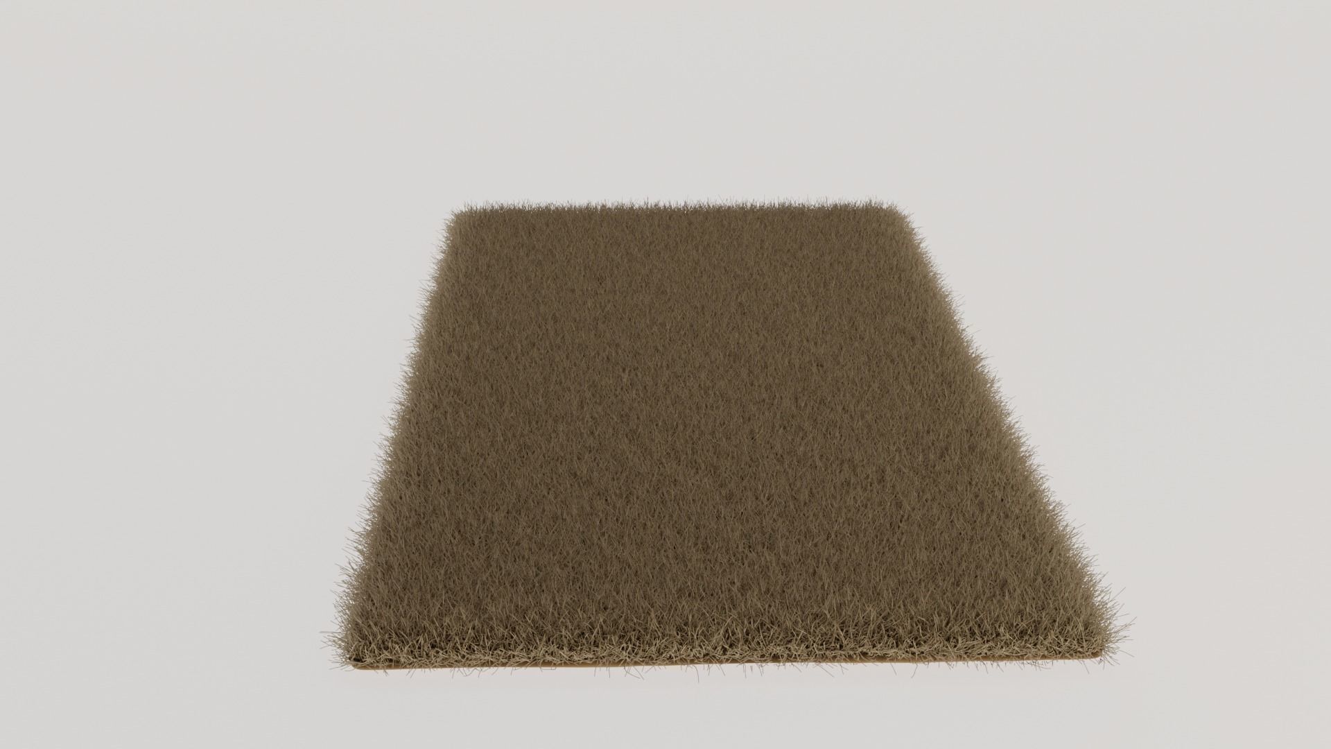 Brown Shag Rug 3D model_3