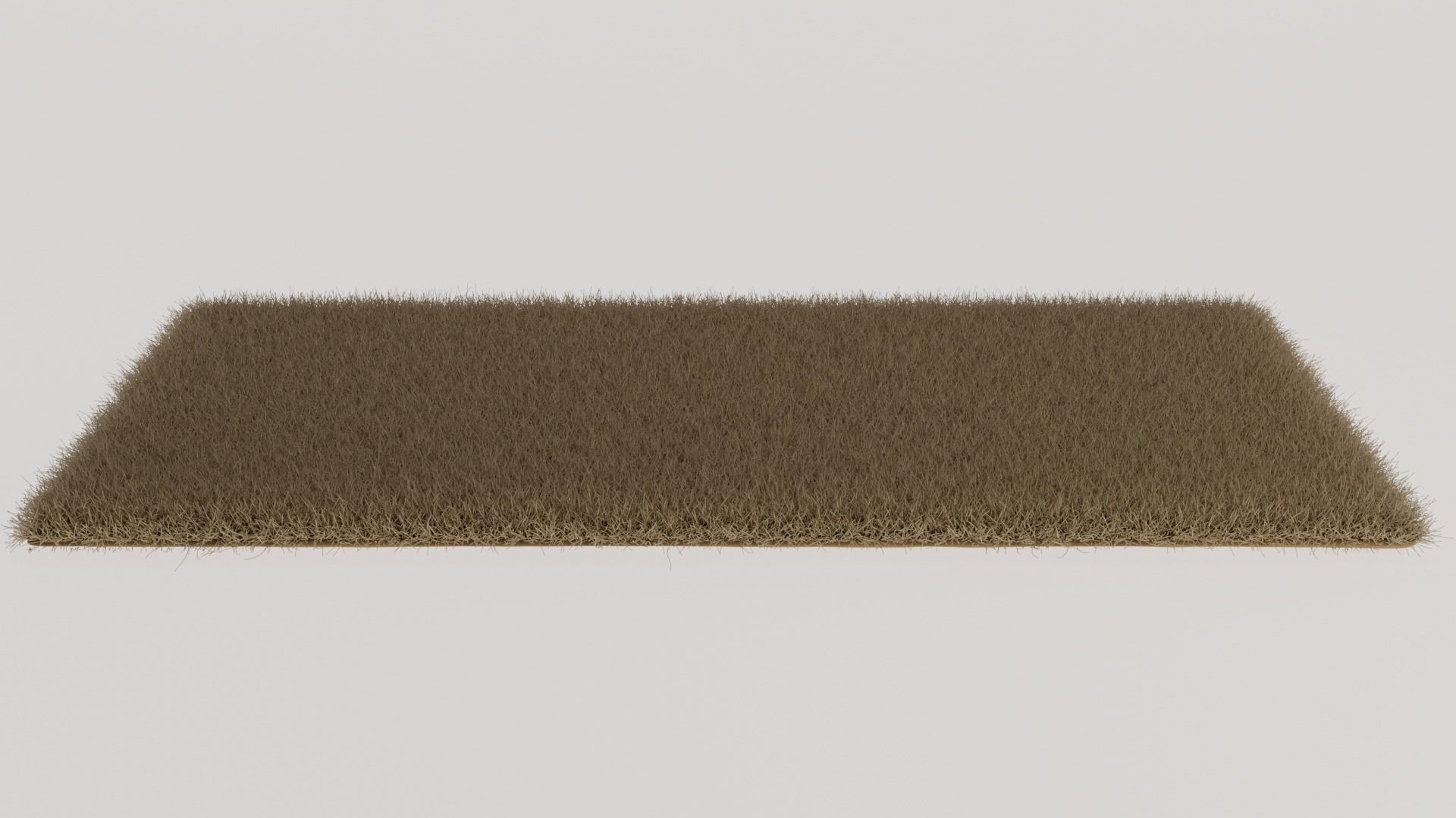 Brown Shag Rug 3D model_2