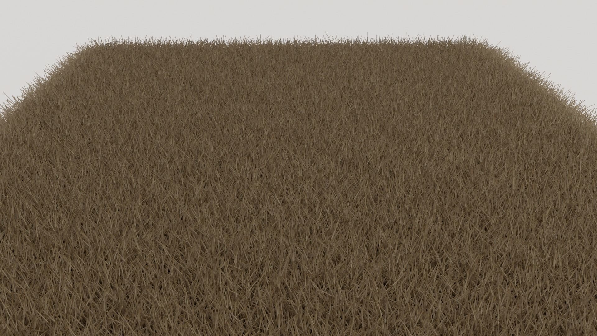 Brown Shag Rug 3D model_5