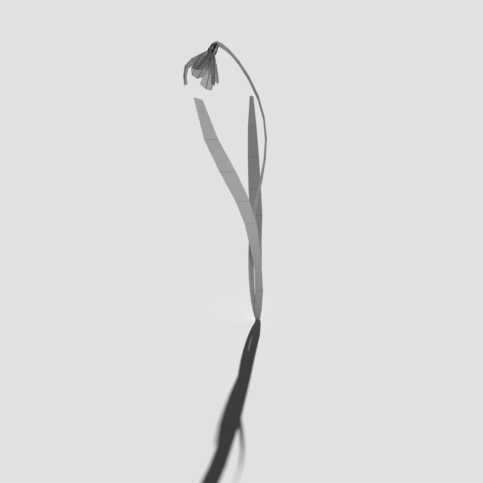 Common Snowdrop Pack Low-poly 3D model_14