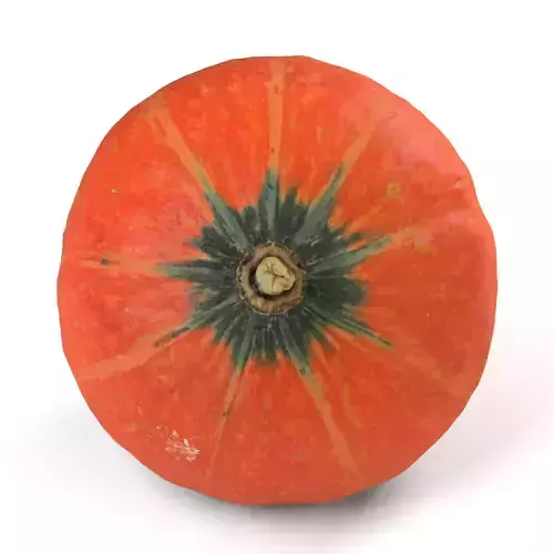 Orange Pumpkin - Photorealistic  Scan