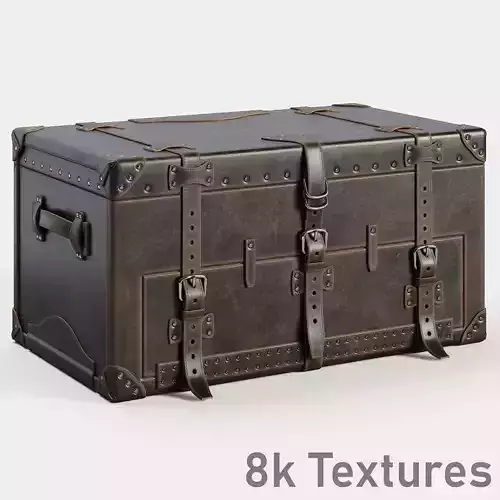 Leather Trunk