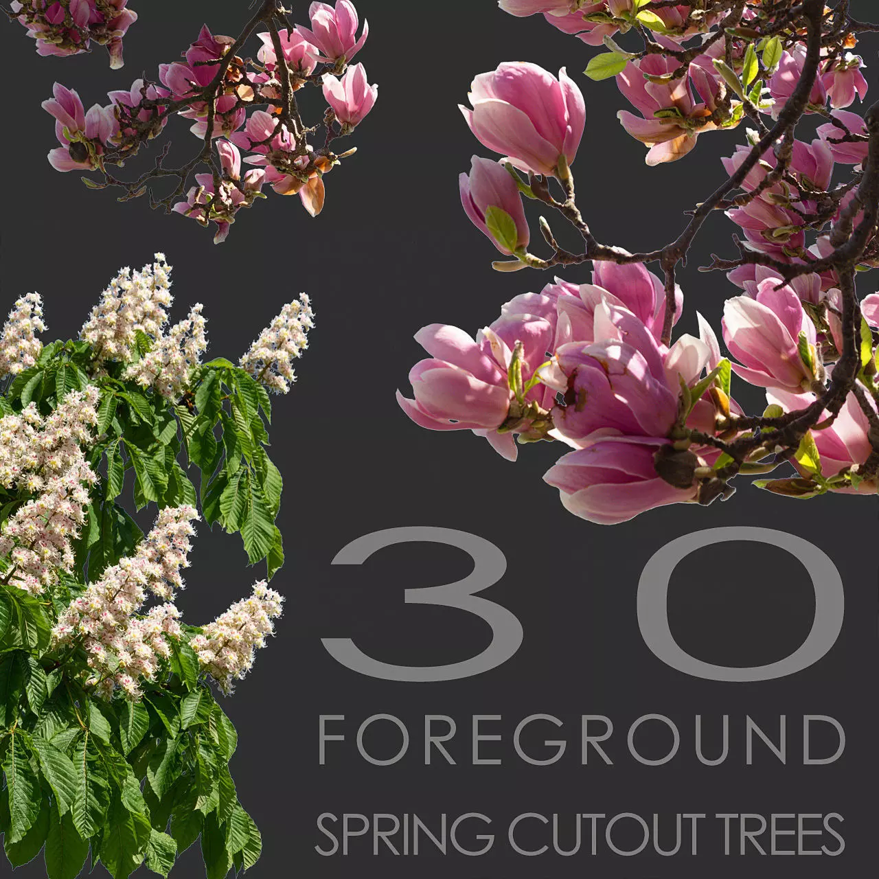 30 Spring  Tree CUTOUTS of Foreground Branches in PNG Texture_0
