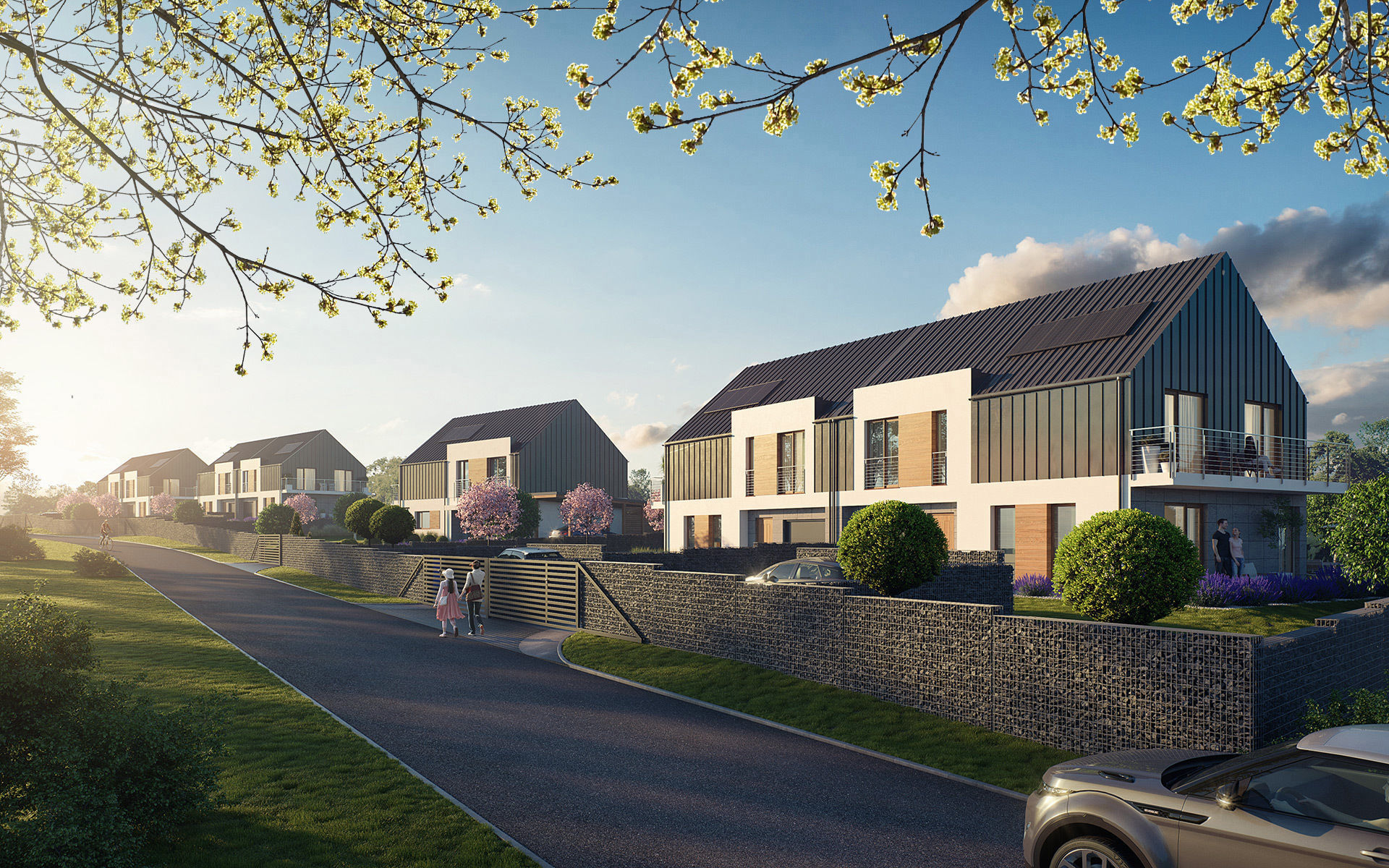 30 Spring  Tree CUTOUTS of Foreground Branches in PNG Texture_15