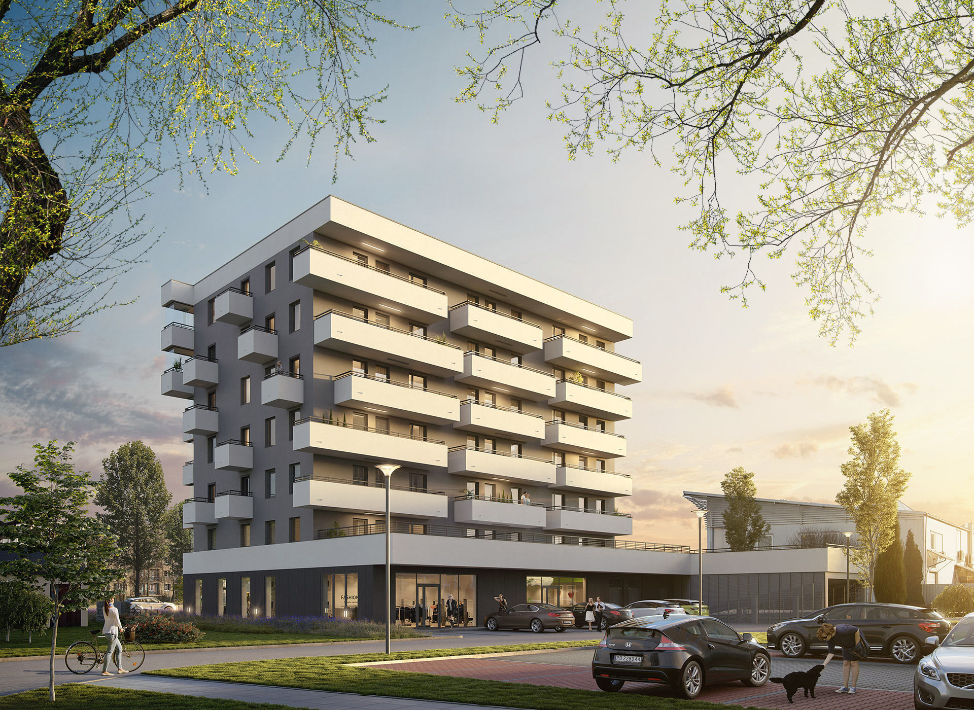 30 Spring  Tree CUTOUTS of Foreground Branches in PNG Texture_12