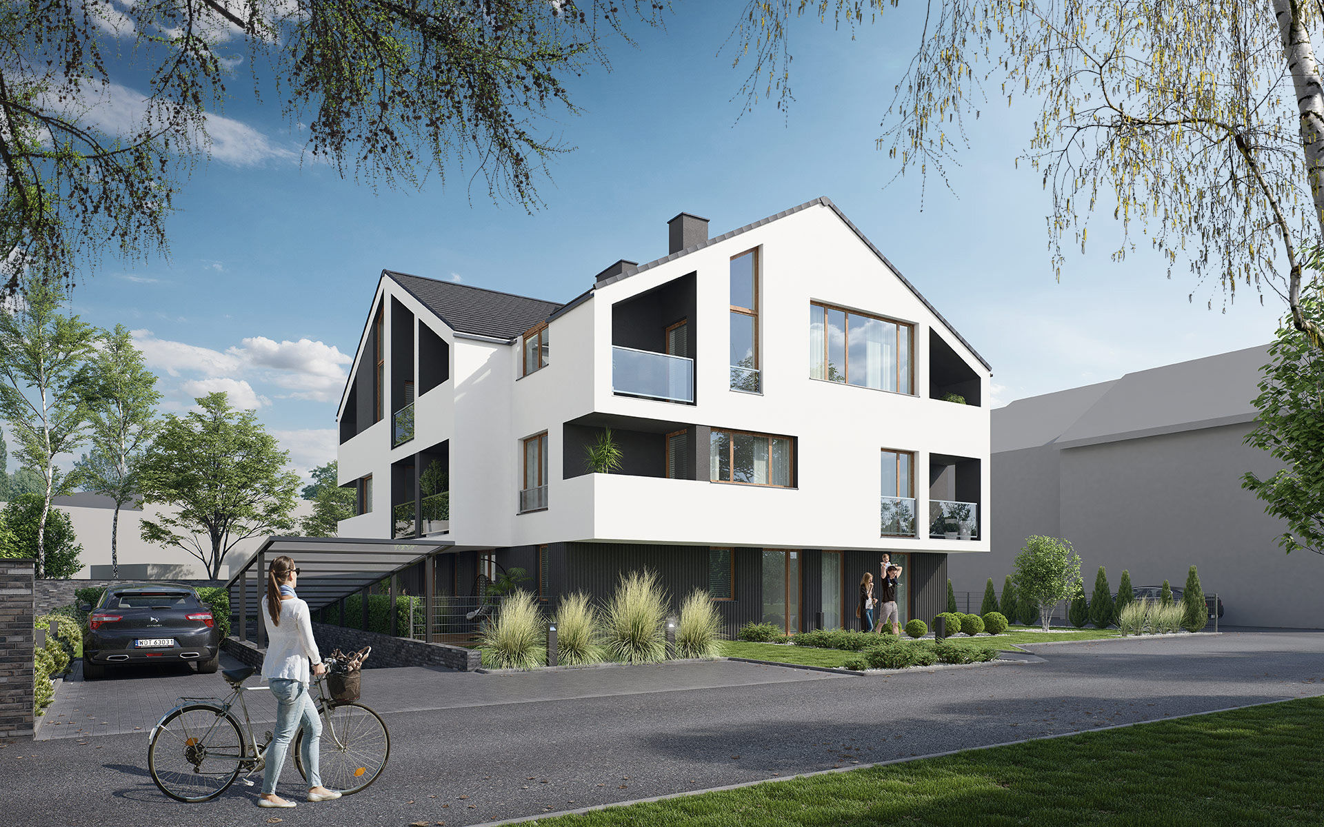 30 Spring  Tree CUTOUTS of Foreground Branches in PNG Texture_13