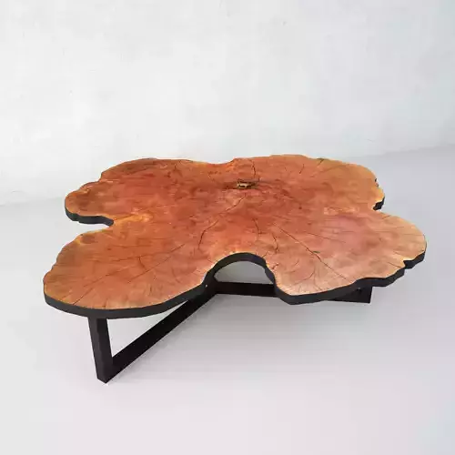 Lychee Stump Table