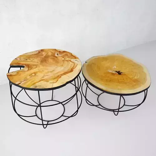 Organic Teak Root Stools 2