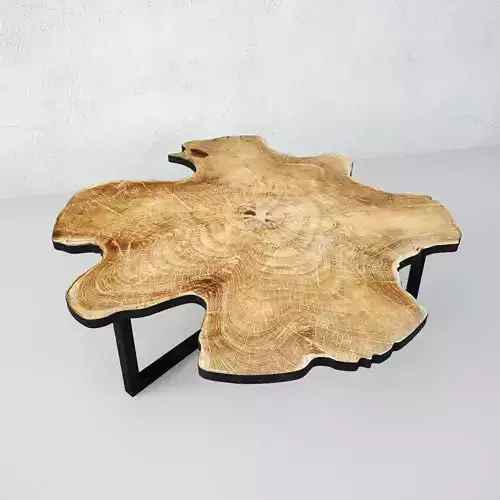 Organic Teak Root Table