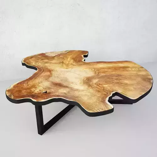 Organic Teak Root Table 2