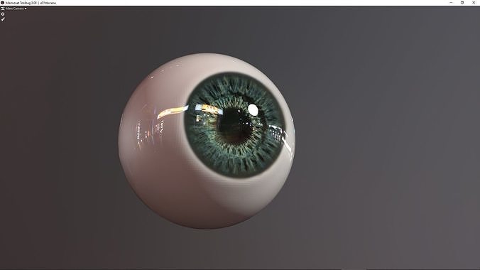 eye photorealistic lowpoly 2 colors Low-poly 3D model