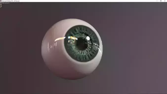 eye photorealistic lowpoly 2 colors Low-poly 3D model