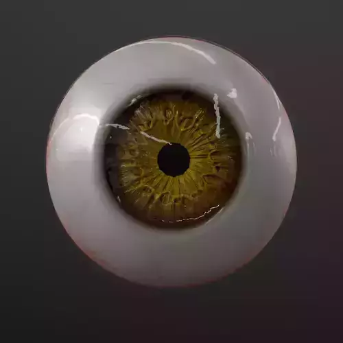 Realistic Eyes eyeball