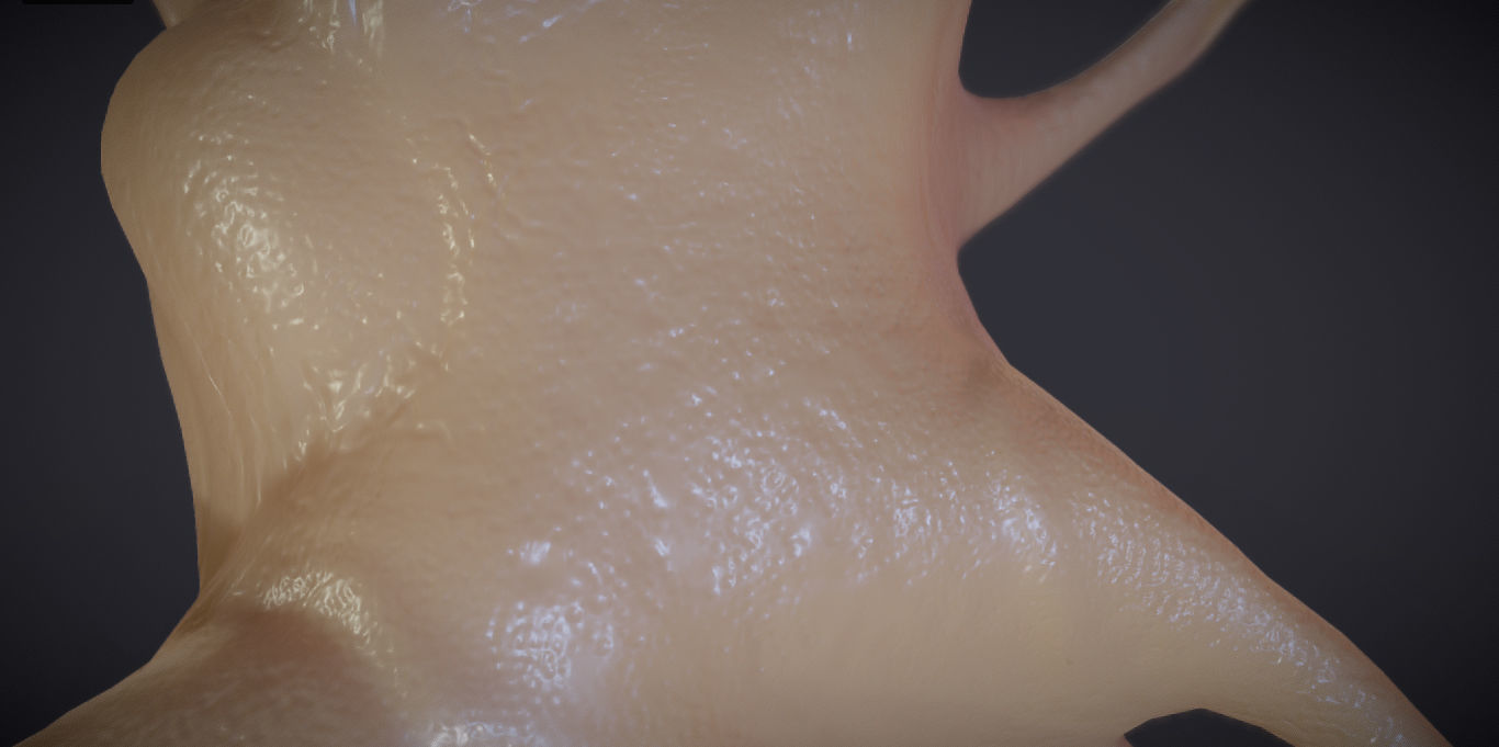 Nerve glial cell Microglia Low-poly 3D model_7