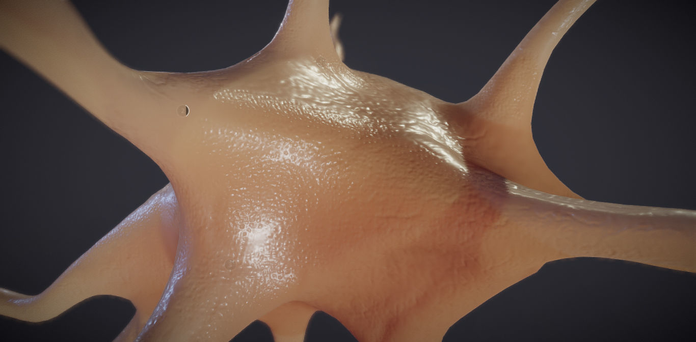 Nerve glial cell Microglia Low-poly 3D model_8