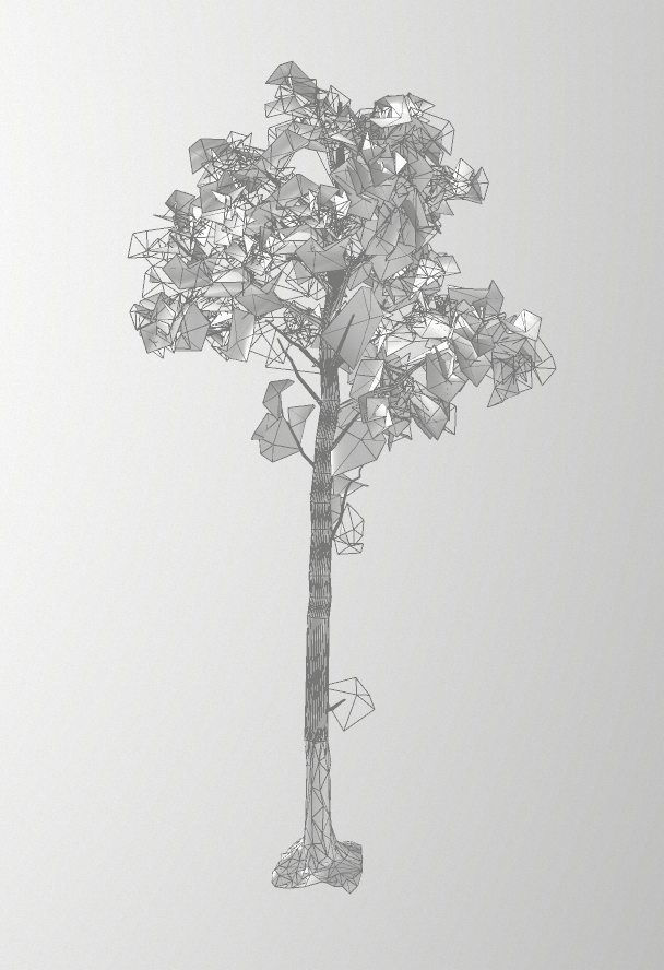 Set of tree 3D Model Collection_16