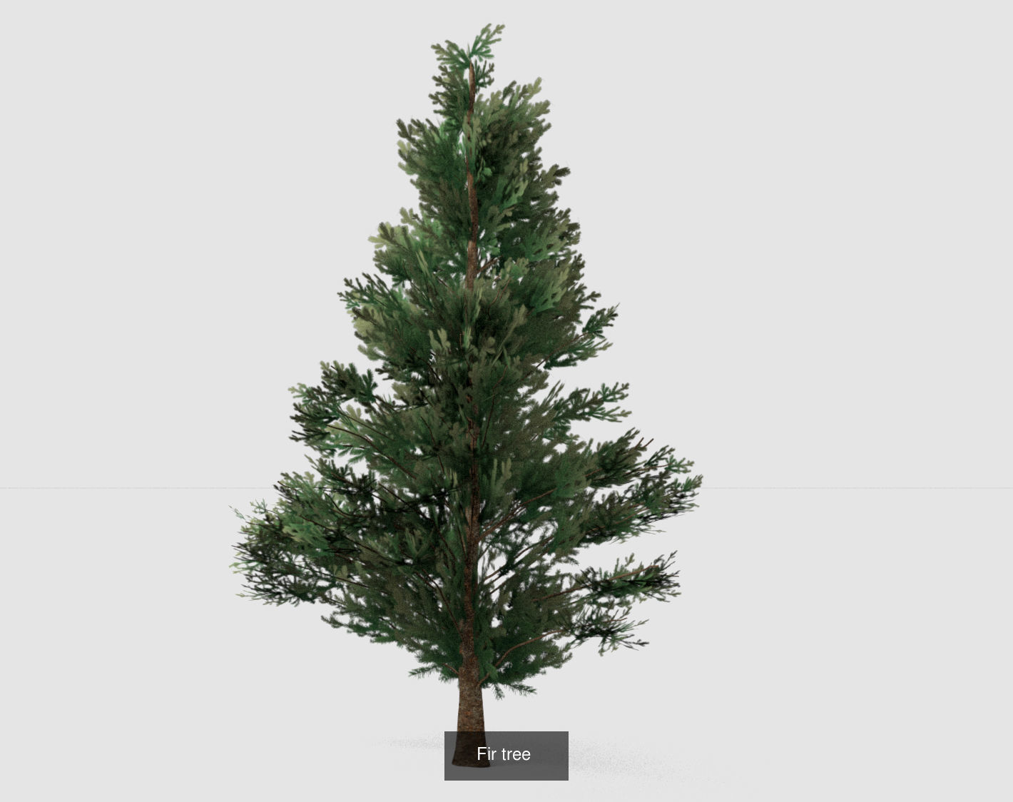 Set of tree 3D Model Collection_2