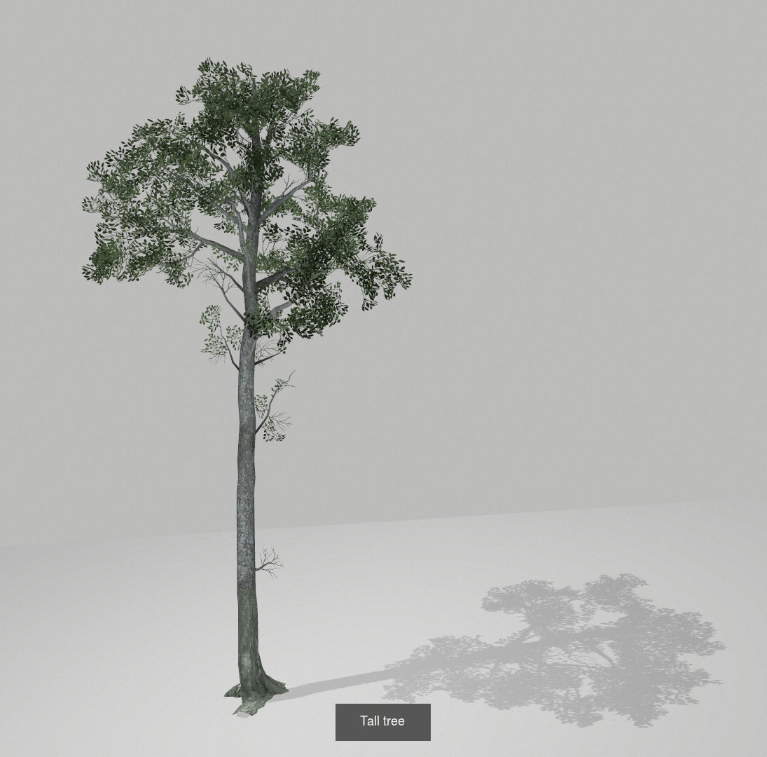 Set of tree 3D Model Collection_8